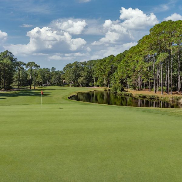 _0005_DolphinHeadHole08